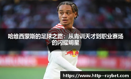 雷竞技官网平台