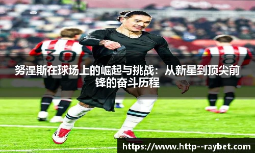 雷竞技官网平台