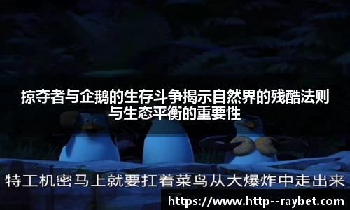 掠夺者与企鹅的生存斗争揭示自然界的残酷法则与生态平衡的重要性
